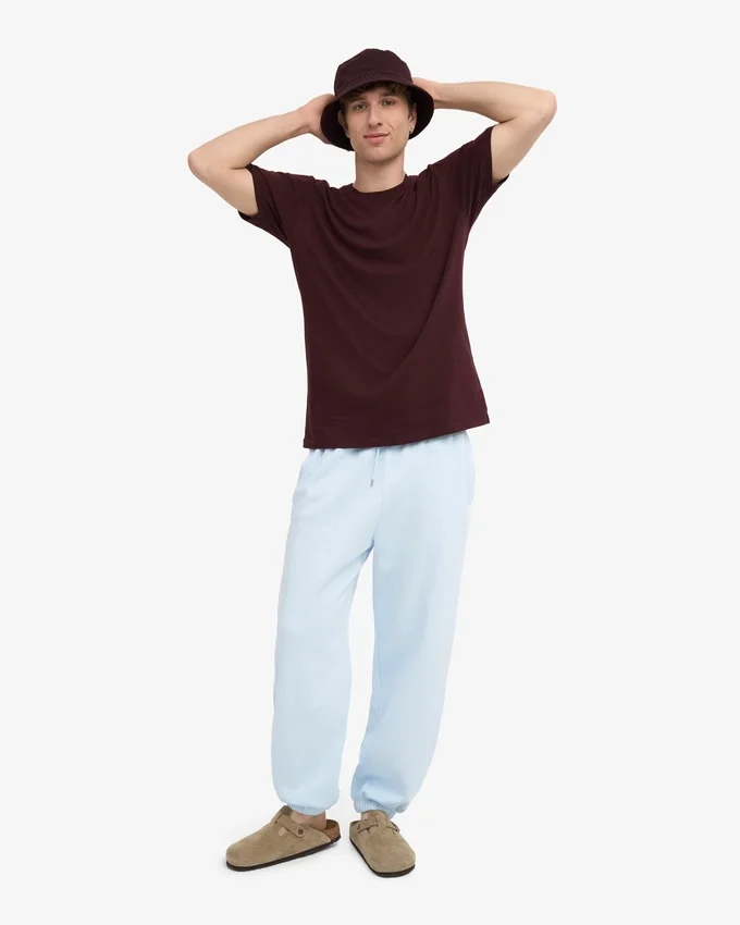 Bio-Jogginghose mit lockerer Passform – Polar-Blau