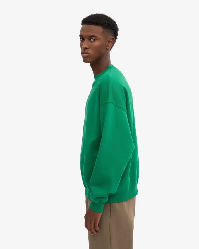 Bio-Oversize-Pullover – Kellygrün