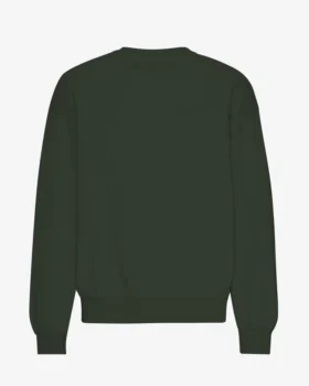 Bio-Oversize-Pullover mit Rundhalsausschnitt – Jägergrün