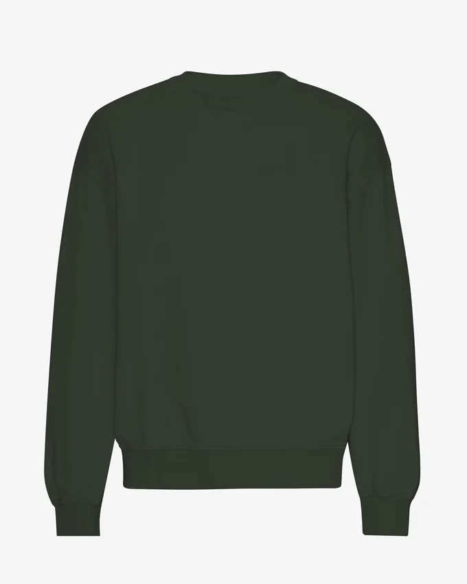 Bio-Oversize-Pullover mit Rundhalsausschnitt – Jägergrün