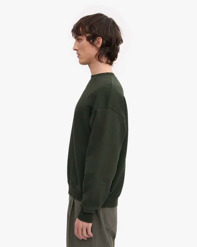 Bio-Oversize-Pullover mit Rundhalsausschnitt – Jägergrün