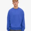 Bio-Oversize-Pullover mit Rundhalsausschnitt – Saphirblau