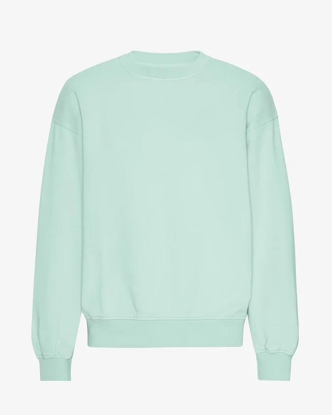 Bio-Oversize-Sweatshirt – Hellblau