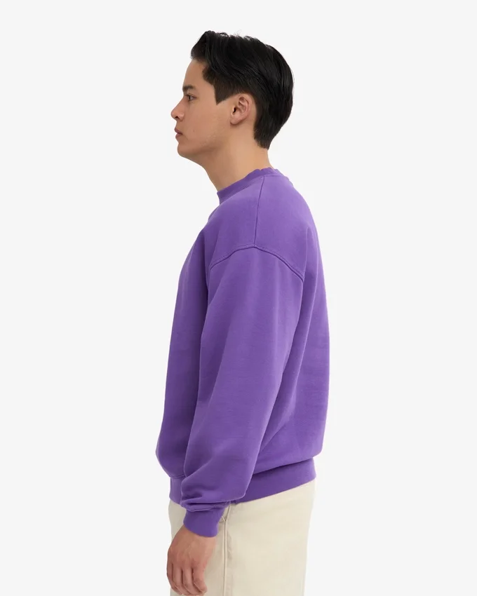Bio-Oversize-Sweatshirt – Ultraviolett