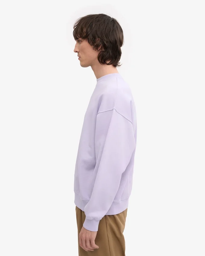 Bio-Oversize-Sweatshirt – Zartes Lavendel