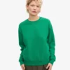 Classic Organic Bio-Pullover für Damen – Kellygrün