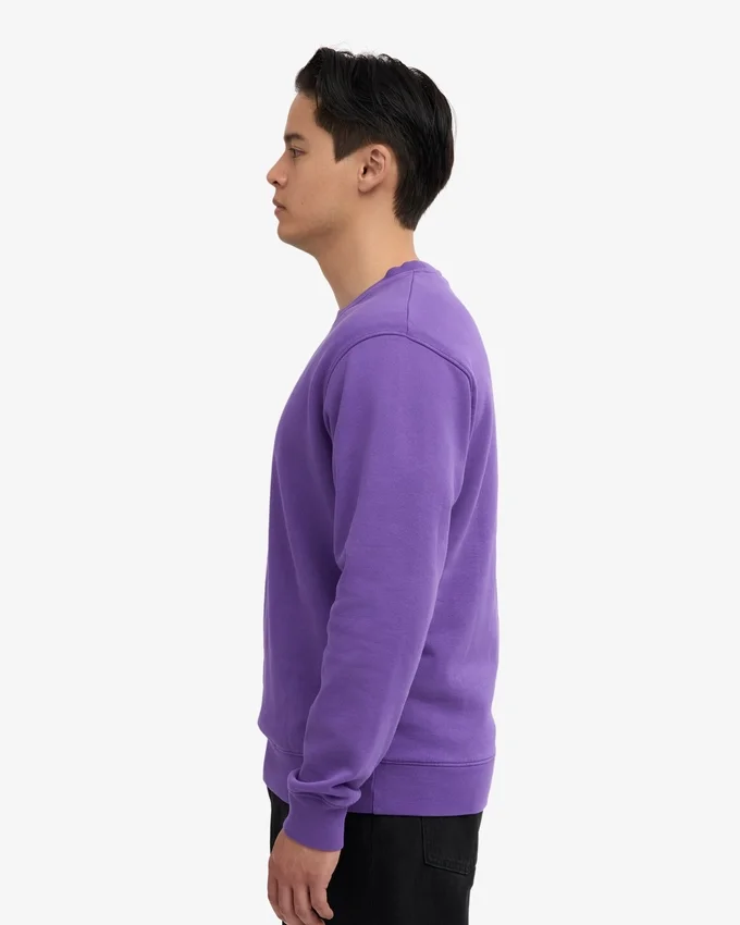 Classic Organic Bio-Pullover mit Rundhalsausschnitt – Ultraviolett