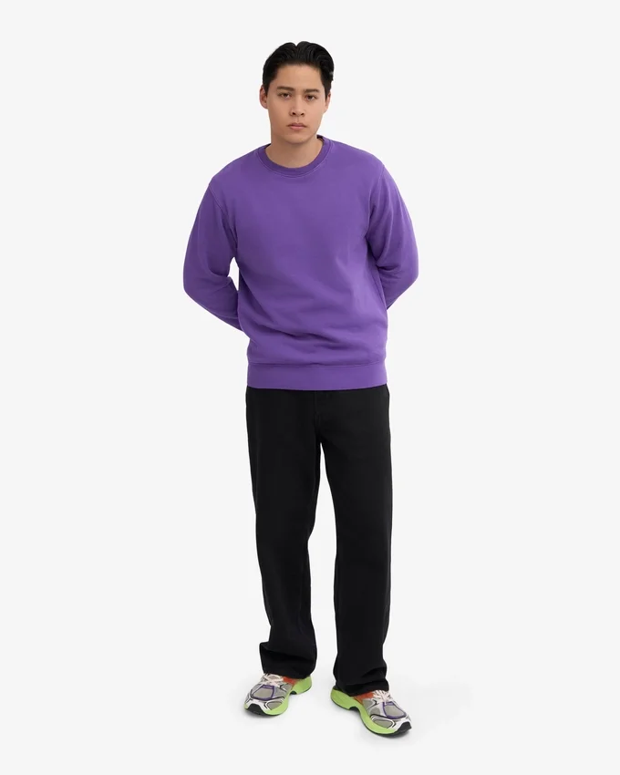 Classic Organic Bio-Pullover mit Rundhalsausschnitt – Ultraviolett