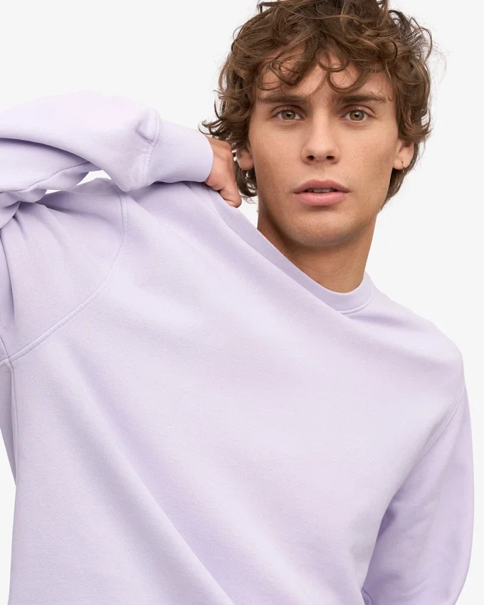 Classic Organic Bio-Pullover mit Rundhalsausschnitt – Zartes Lavendel