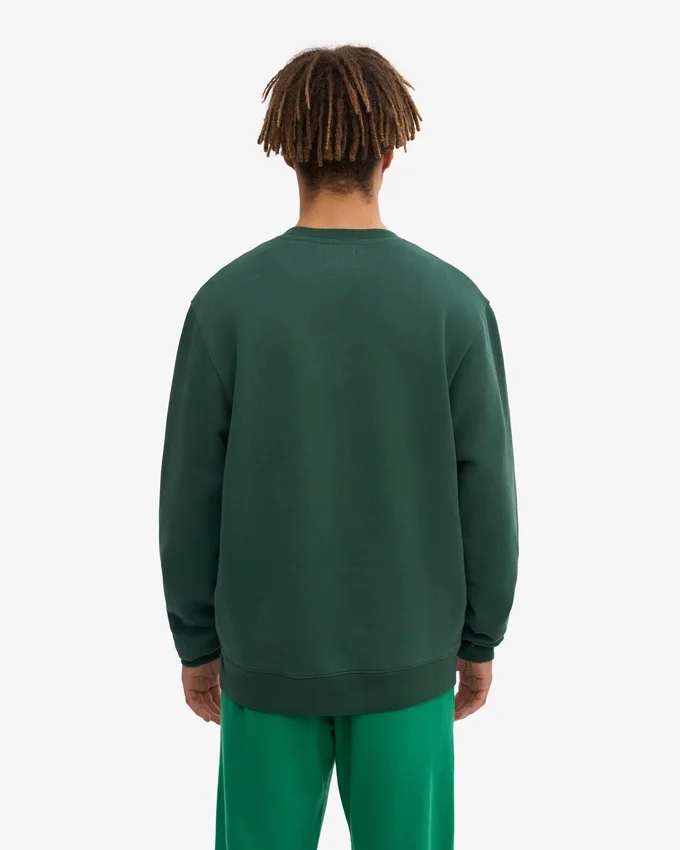 Classic Organic Bio-Pullover – Smaragdgrün
