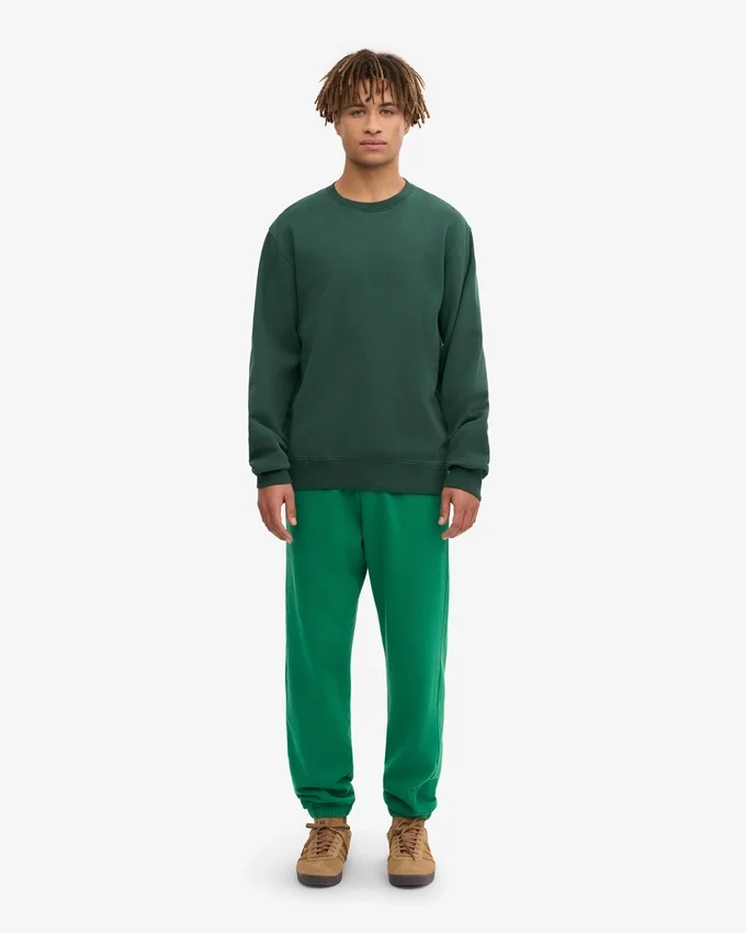 Classic Organic Bio-Pullover – Smaragdgrün