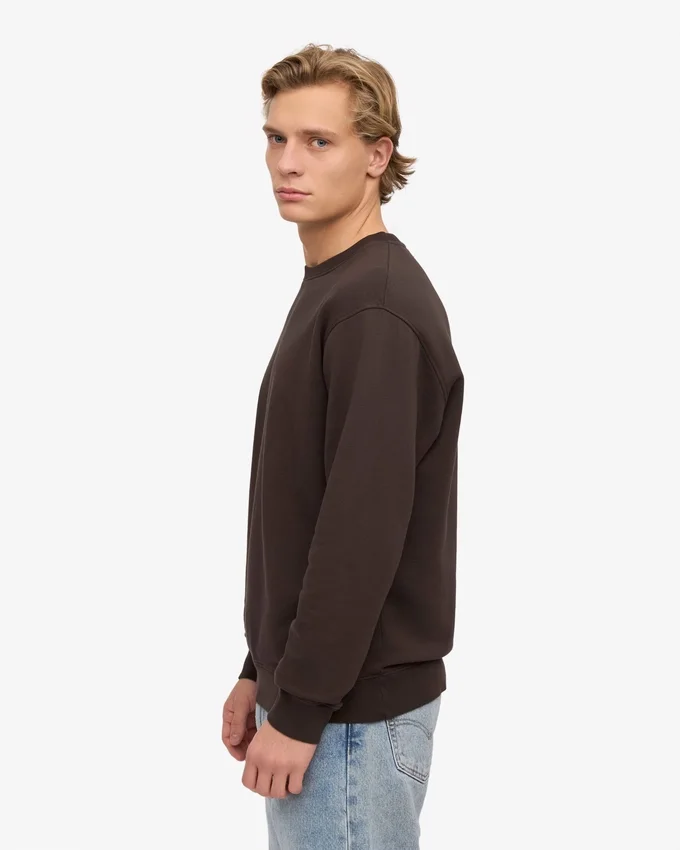 Classic Organic Bio-Shirt – Kaffeebraun