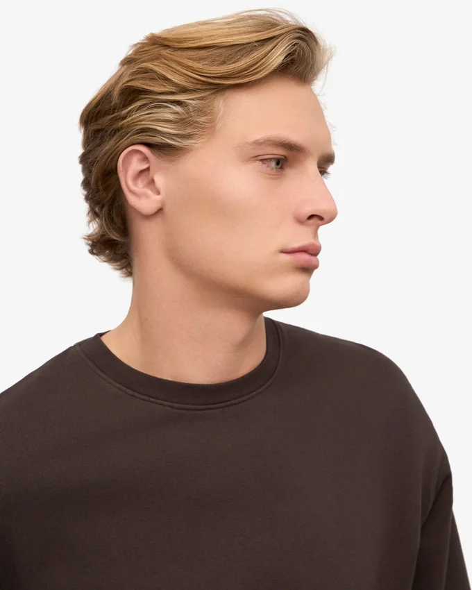 Classic Organic Bio-Shirt – Kaffeebraun