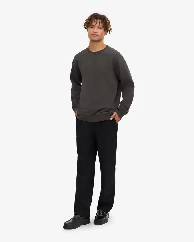 Classic Organic Bio-Shirt mit Rundhalsausschnitt – Lavagrau