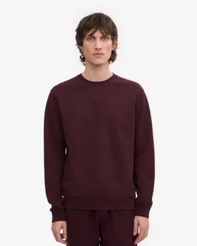 Classic Organic Bio-Shirt mit Rundhalsausschnitt – Oxblood-Rot