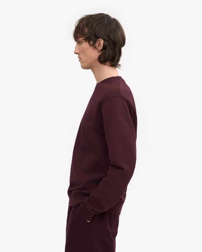 Classic Organic Bio-Shirt mit Rundhalsausschnitt – Oxblood-Rot