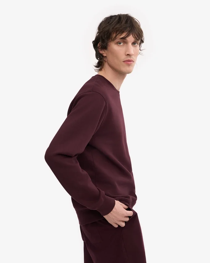 Classic Organic Bio-Shirt mit Rundhalsausschnitt – Oxblood-Rot