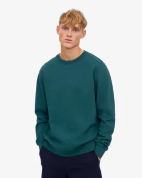 Classic Organic Bio-Shirt – Ozeangrün
