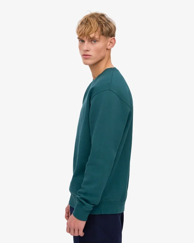 Classic Organic Bio-Shirt – Ozeangrün