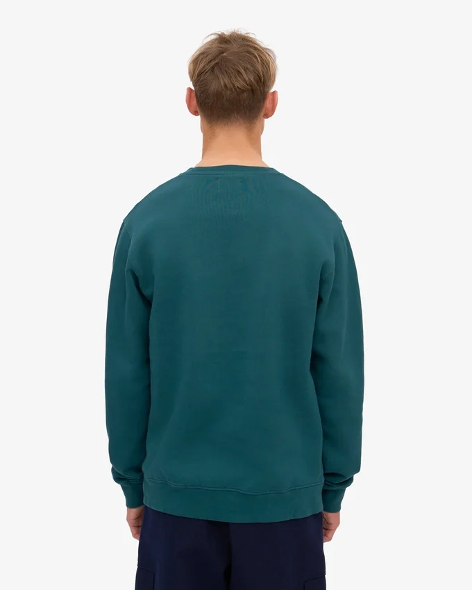 Classic Organic Bio-Shirt – Ozeangrün
