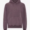 Classic Organic Hood – Faded Grape
