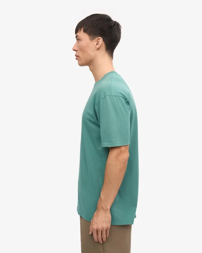 Classic Organic Tee – Kieferngrün