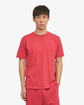 Classic Organic Tee – Verwaschenes Rot