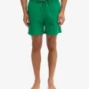 Klassische Badeshorts – Kellygrün