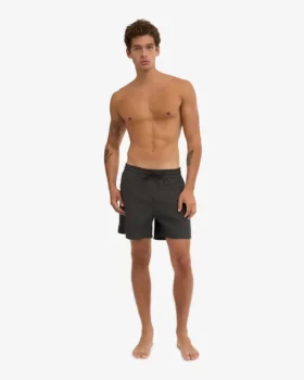 Klassische Badeshorts – Lava-Grau