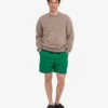 Organic Twill Shorts – Kellygrün