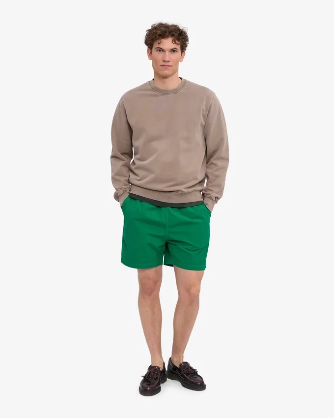 Organic Twill Shorts – Kellygrün