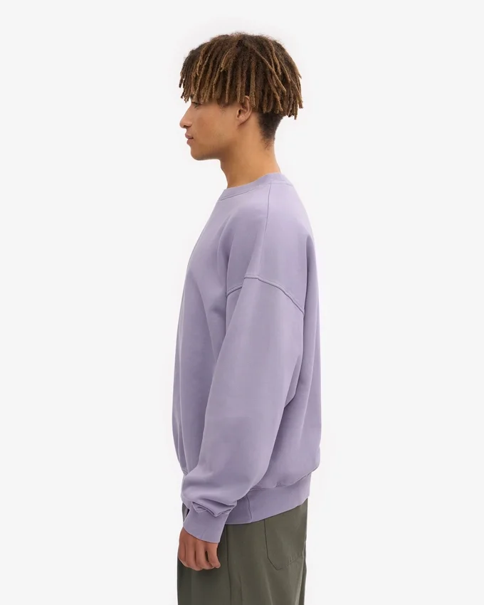 Oversized-Pullover aus Bio-Baumwolle – Jade-Lila