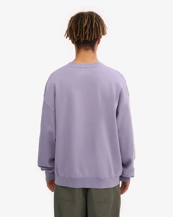 Oversized-Pullover aus Bio-Baumwolle – Jade-Lila