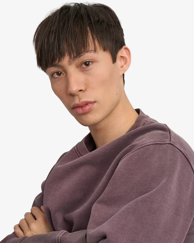 Oversized-Sweatshirt aus Bio-Baumwolle – Faded Grape